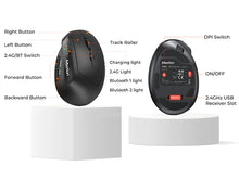 Load image into Gallery viewer, BTM008 2.4G Bluetooth 5.0 Ergonomic Vertical Wireless Mouse, 2400DPI Rechargeable USB-C Silent Click Computer Laptop Accessory