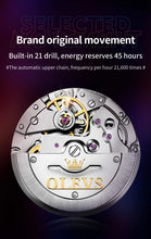 Load image into Gallery viewer, OLEVS 6650 Men Watch Classic Original Automatic Mechanical Watch For Man Zircon Scale Waterproof Luminous Stainless Steel Watch